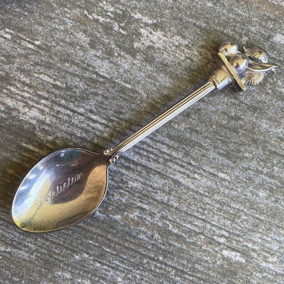𝅺VINTAGE | Penticton BC Collector Spoon #4 - Picture 1 of 5